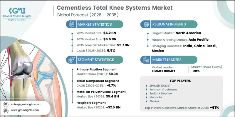 Cementless Total Knee Systems Market-IMG1