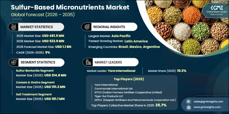 Sulfur-Based Micronutrients Market-IMG1