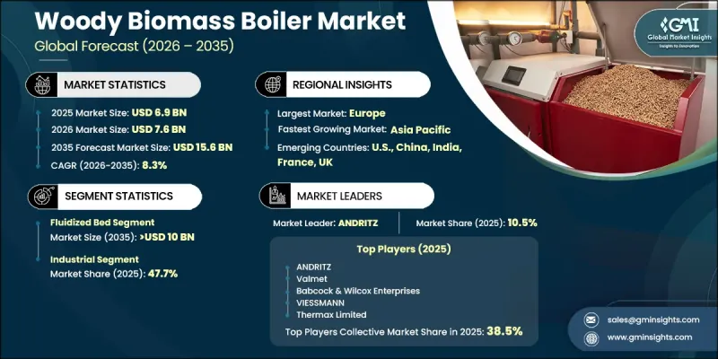 Woody Biomass Boiler Market-IMG1