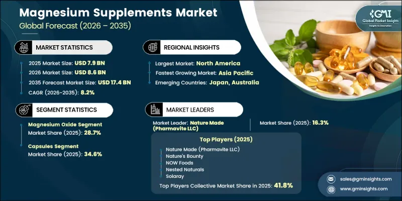 Magnesium Supplements Market-IMG1