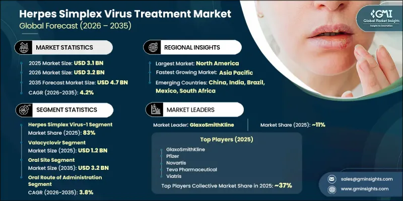 Herpes Simplex Virus Treatment Market-IMG1
