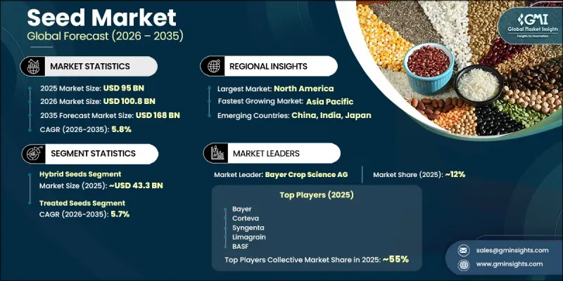 Seed Market-IMG1