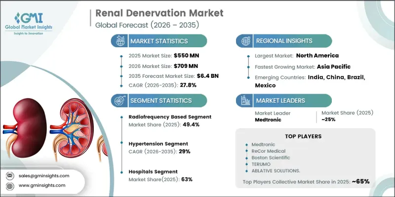 Renal Denervation Market-IMG1