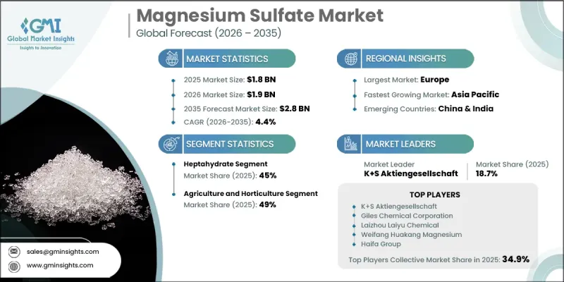 Magnesium Sulfate Market-IMG1