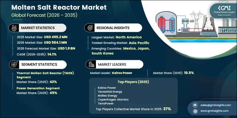 Molten Salt Reactor Market-IMG1