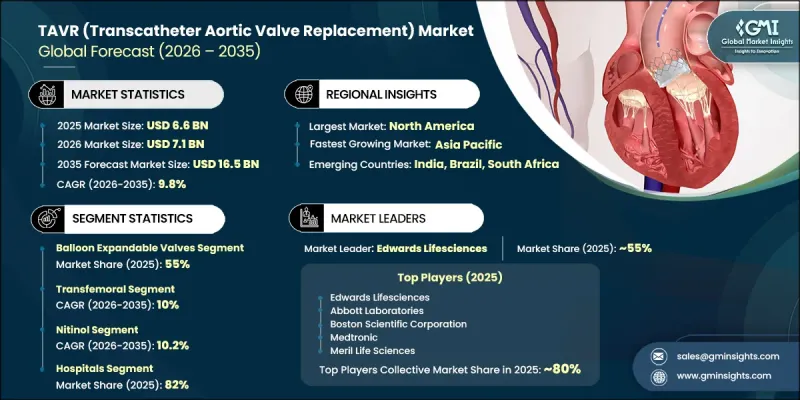 TAVR(Transcatheter Aortic Valve Replacement) Market-IMG1
