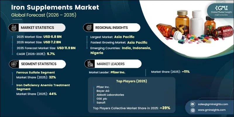 Iron Supplements Market-IMG1