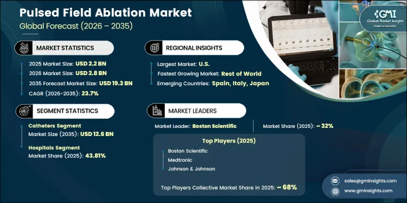 Pulsed Field Ablation Market-IMG1