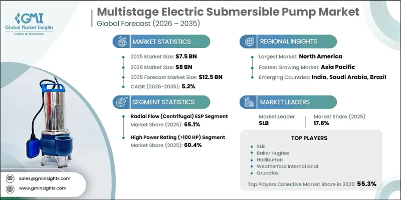Multistage Electric Submersible Pump Market-IMG1