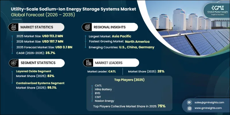 Utility-Scale Sodium-Ion Energy Storage Systems Market-IMG1