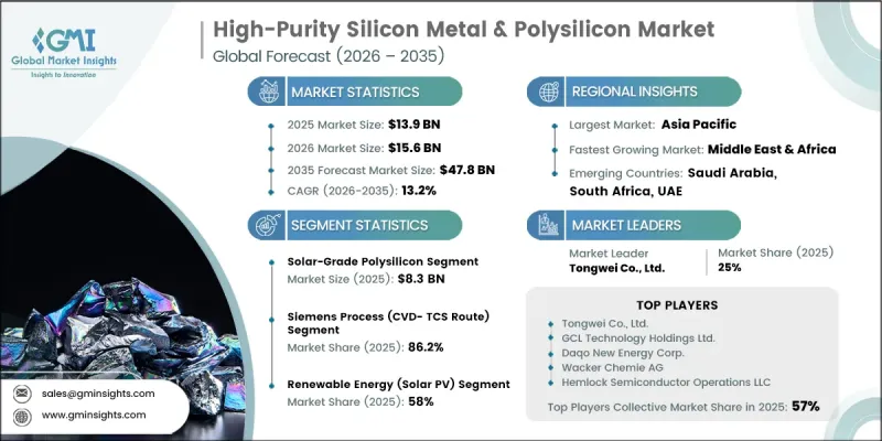 High-Purity Silicon Metal and Polysilicon Market-IMG1
