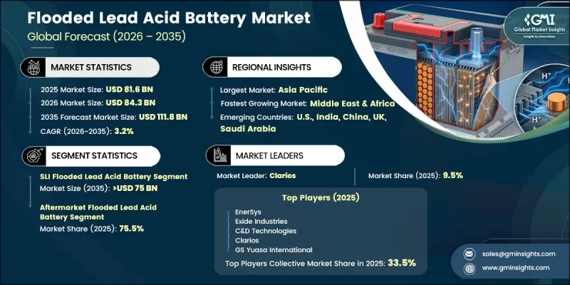 Flooded Lead Acid Battery Market-IMG1