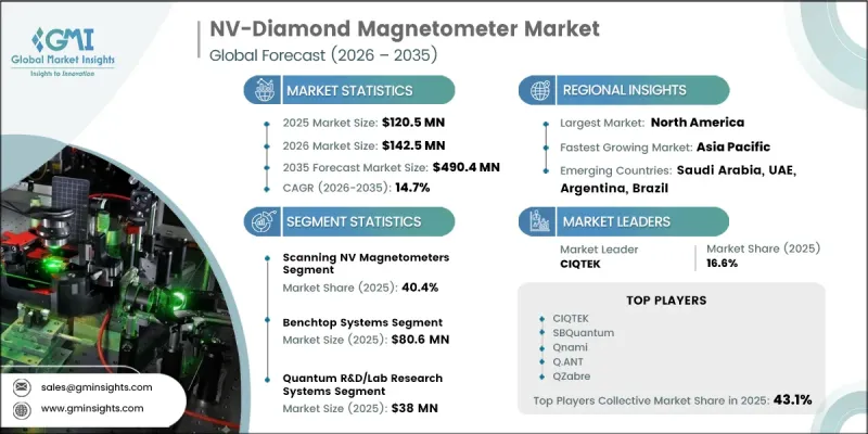 NV-Diamond Magnetometer Market-IMG1