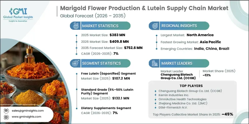 Marigold Flower Production and Lutein Supply Chain Market-IMG1