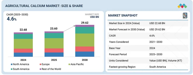 Agricultural Calcium Market-IMG1