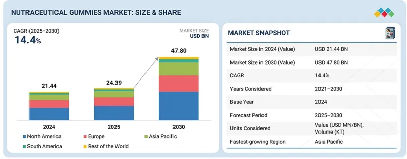 Nutraceutical Gummies Market-IMG1