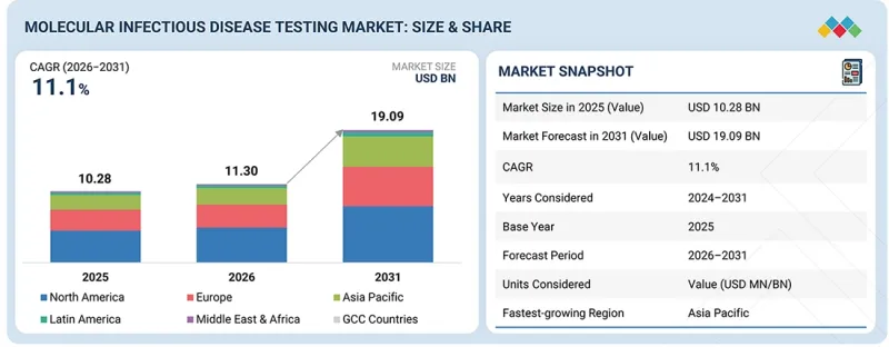 Molecular Infectious Disease Testing Market-IMG1
