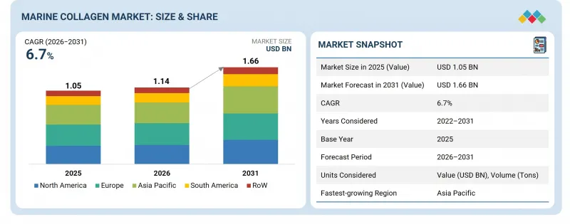 Marine Collagen Market-IMG1