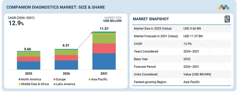 Companion Diagnostics Market-IMG1