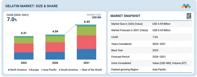 Gelatin Market-IMG1