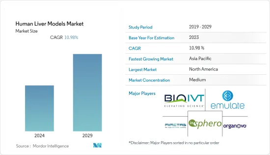 Human Liver Models - Market - IMG1