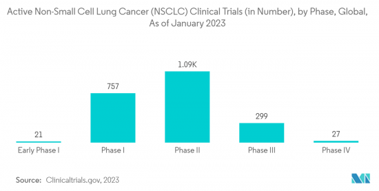 Non-Small Cell Lung Cancer（NSCLC）-Market-IMG2