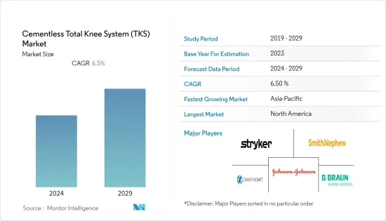 Cementless Total Knee System (TKS) -Market -IMG1