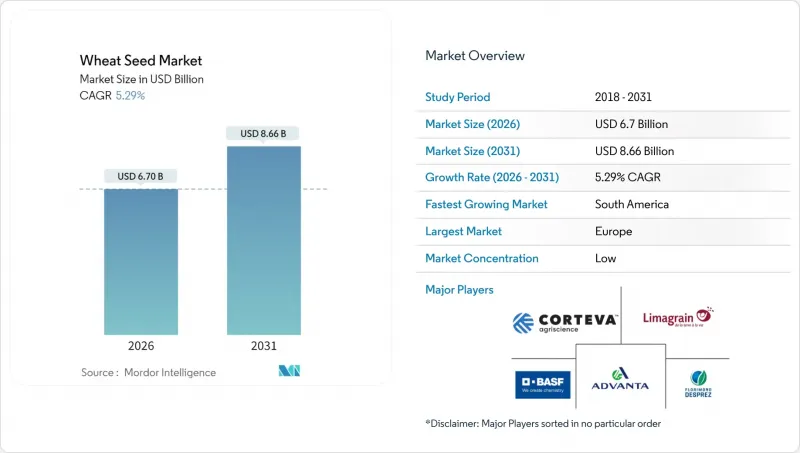 Wheat Seed-Market-IMG1