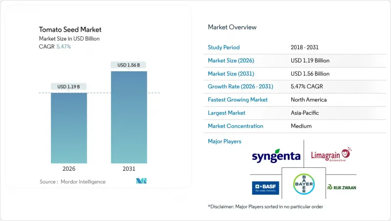 Tomato Seed-Market-IMG1