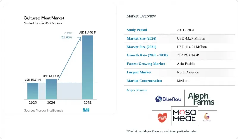 Cultured Meat-Market-IMG1