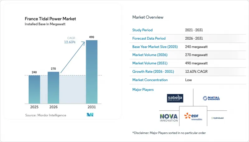France Tidal Power-Market-IMG1