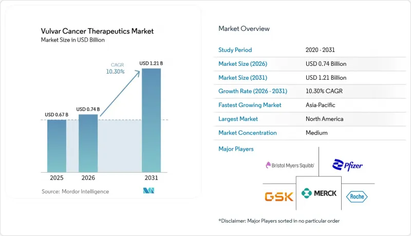 Vulvar Cancer Therapeutics-Market-IMG1