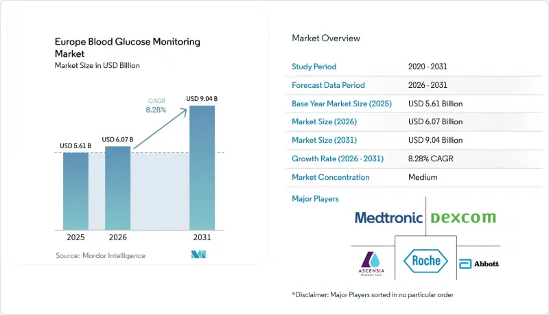 Europe Blood Glucose Monitoring-Market-IMG1