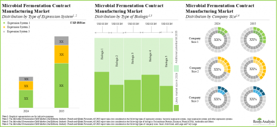 Microbial Fermentation CMO Market-IMG2