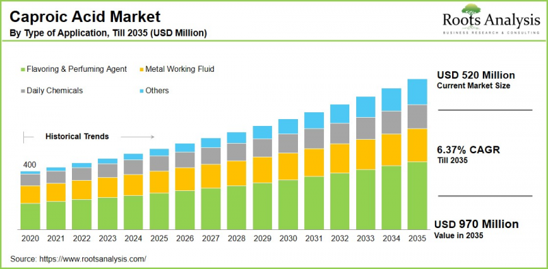 Caproic Acid Market-IMG1