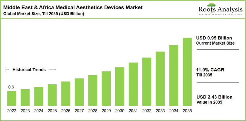 Middle East & Africa Medical Aesthetics Devices Market-IMG1