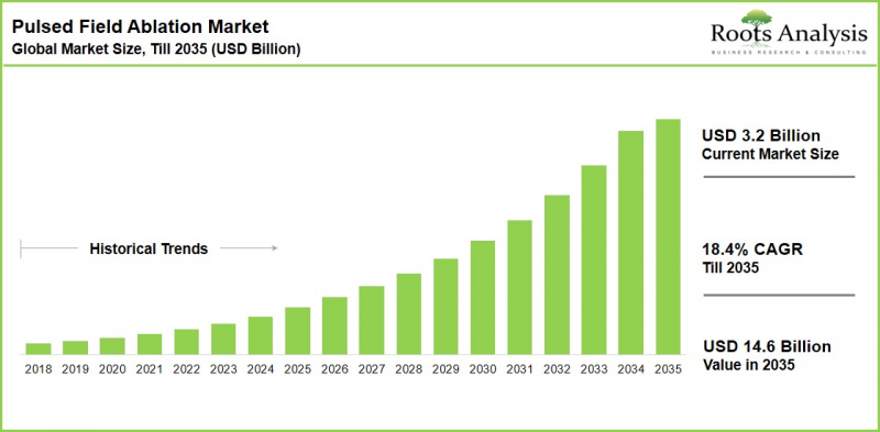 Pulsed Field Ablation Market-IMG1