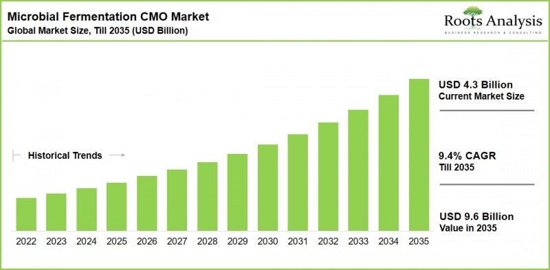 Microbial Fermentation CMO Market-IMG1
