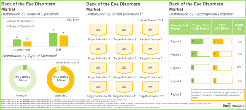 Back of the Eye Disorders Market-IMG2