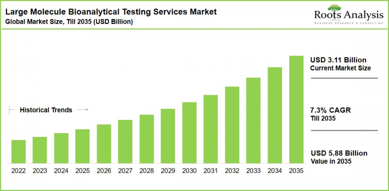 Large Molecule Bioanalytical Testing Services Market-IMG1