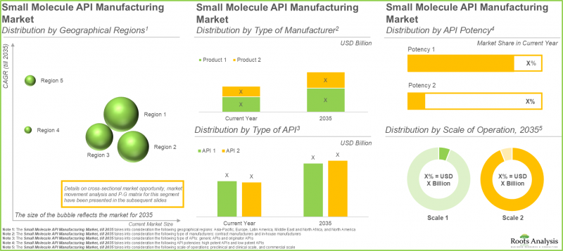 Small Molecule API Manufacturing Market-IMG3