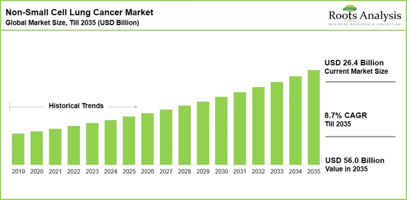 Non-Small Cell Lung Cancer Market-IMG1