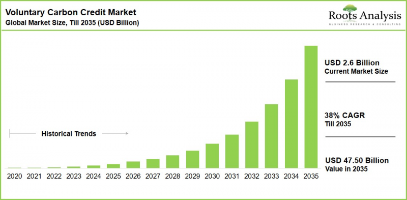 Voluntary Carbon Credit Market-IMG1