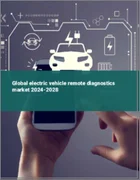 表紙：電気自動車遠隔診断の世界市場 2024-2028