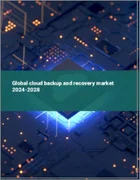 表紙：クラウドバックアップとリカバリーの世界市場 2024-2028