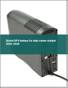 表紙：データセンター用UPSバッテリーの世界市場 2024-2028