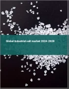 表紙：工業用塩の世界市場 2024-2028