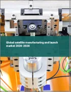 表紙：衛星製造・打上げの世界市場 2024-2028