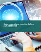 表紙：会話コンピューティング・プラットフォームの世界市場 2024-2028