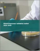 表紙：バイオプロセス検証の世界市場 2024-2028